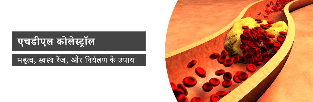 एचडीएल कोलेस्ट्रॉल : महत्व, स्वस्थ रेंज, और नियंत्रण के उपाय